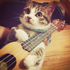 欧美成人奇葩性爱另类在线
